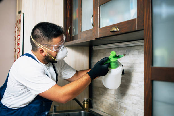 Best Residential Pest Control  in Glenolden, PA